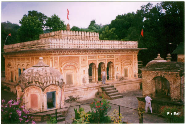 sujanpur holi